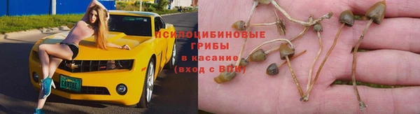 круглые Богданович